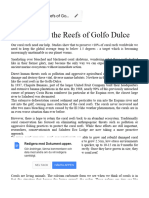 Restoring The Reefs of Golfo Dulce - Saladero