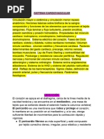 Sistema Cardiovascular