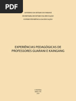 Cadernos Exp Ped Prof Guarani Kaingang