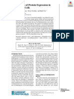 Optimization of Protein Expression in Mammalian Cells