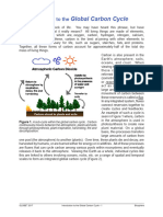 Introduction To Global Carbon Cycle