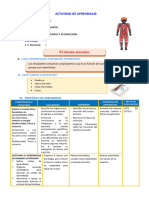 D2 A3 SESION CT. El Sistema Muscular