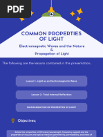 Common Properties of Light Renzej - 20240309 - 201256 - 0000