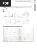 cm2 Exercices Symetrie