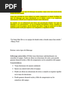 Información de Lidezgo y Sus Caracteristicas