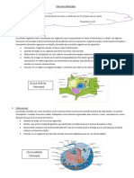 Actividades de 6to Ciencias Naturales