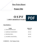 Minor Project Report-OSPF Champ