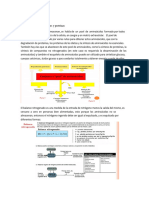 Metabolismo de Aminoacidos y Proteinas 1