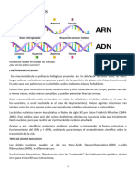 Ácidos Nucleicos