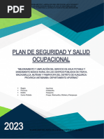 18.6 Plan de Seguridad y Salud Ocupacional