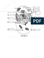 Demo Materials Co4 Mitosis