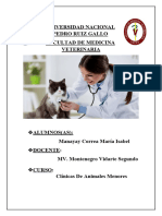 Dermatitis Alergica A Picaduras de Pulgas