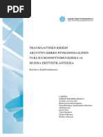Traumaattisen Kriisin Akuuttivaiheen Psykososiaalinen Tuki Suuronnettomuuksissa Ja Muissa Erityistilanteissa