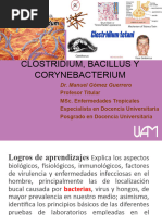 Bacterias Gram + Clostridium, Bacillus y Corynebacterium