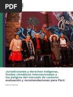 JA 524 Peru Report Indigenous Jurisdiction and Rights and The Dangers of The Carbon Market v5 Digital With Amendments