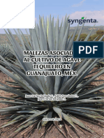 Manual Agave Bjo