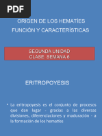 2 6. Origen de Los Hematies Funcion y Caracteristicas