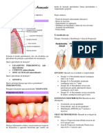 Resumo de Perio Avançada N1
