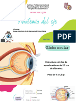 Anatomía Ojo - 20240304 - 130211 - 0000