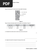 Transport in Plants Practice Question (GCSE)