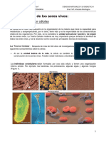 La Célula Procariota y Eucariota