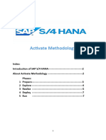 FICO - Activate Methodology