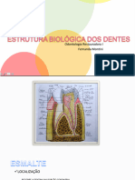 Aula 2 Dentistica