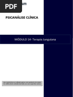 14 Terapia Junguiana