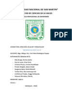 Informe Lab Biomoleculas.