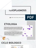 Toxoplasmosis