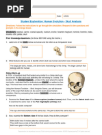 Layla Hollingsworth - Lab 26 Gizmo Skull Analysis and CER - 14405554