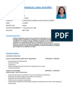 PDF Documento