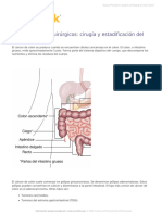 Surgical Procedures Surgery and Staging For Colon Cancer-22523-13-Esl-Es