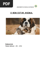 Trabalho de Cid - Bem Estar Animal