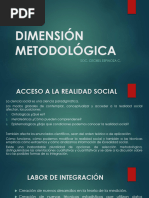 Dimensión Metodológica