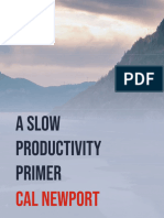 Slow Productivity Primer