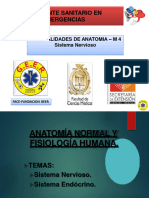 Anatomia Sistema Nervioso