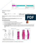 Desgrabe Dipylidium Caninum y Diphylobothrium Latum