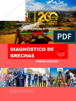 Diagnosticos de Brechas 2025 2027