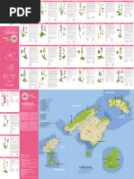 Guia de Orquideas de Las Islas Baleares