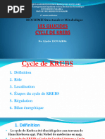 2-Cycle de Krebs