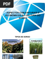 Aspectos Conjunturais e Econômicos Da Cultura Do Sorgo