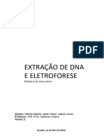 Relatório 3 - Extração de DNA e Eletroforese