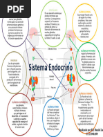 Sistema Endocrino Mapa