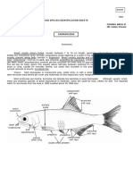 Fao Species Identification Sheets Fishing Area 51 (W. Indian Ocean)