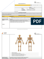 EF 1 - Guía 03 - 04 Sistema Esquelético