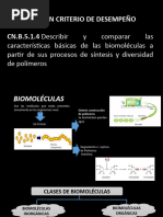 Semana 6 Biomóleculas