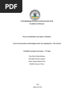 Processos Individuais Percepção e Atribuição