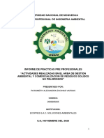 Informe de Practicas Profesionales Ingenieria Ambiental