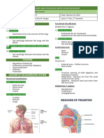 Lesson 13 - Respiratory System